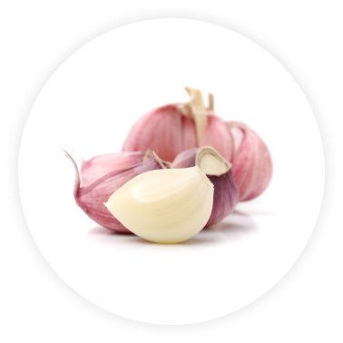 producto-ajo-morado