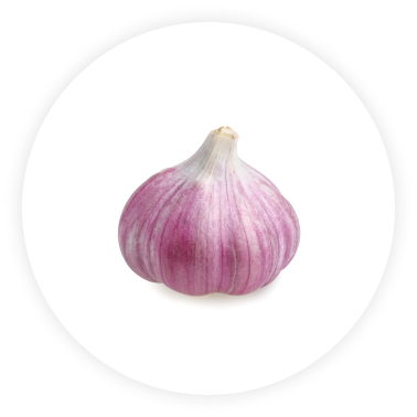 producto-ajo-violeta