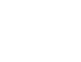 Nesbo - passion b 1